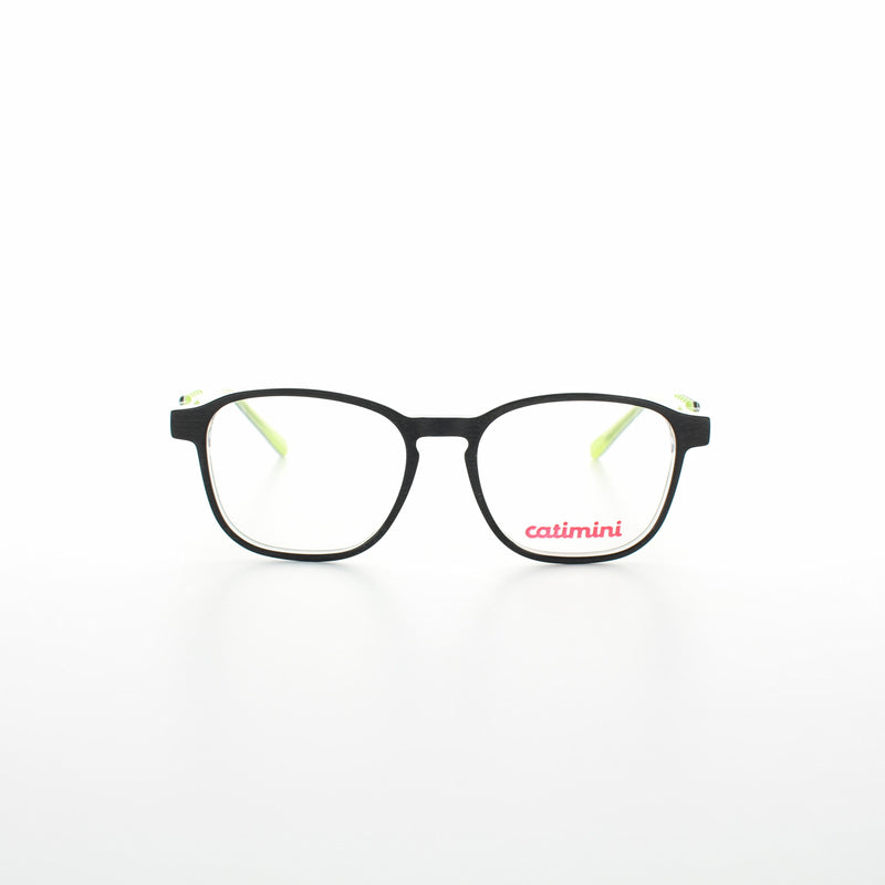 CA0095 Ig